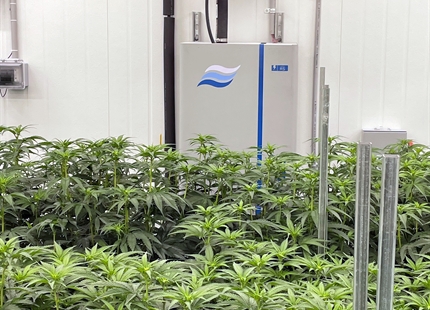 Peninsula Gardens Improves Cannabis Cultivation with Condair RS Series