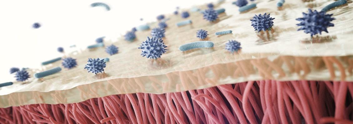 Rendering of viruses and bacteria interacting with the immune system Rendering of viruses and bacteria interacting with the immune system