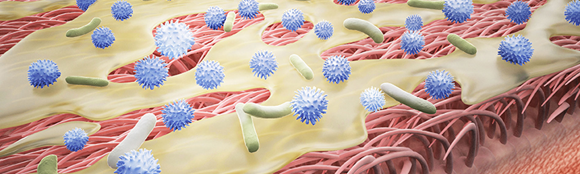 Low humidity and its affect on our airway defence system Low humidity and its affect on our airway defence system